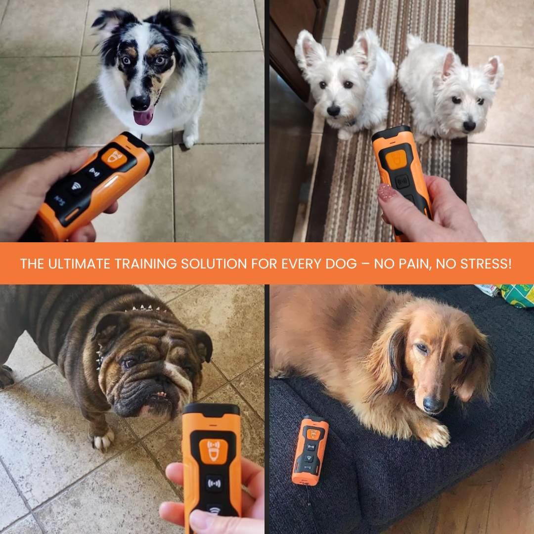 Petsy™ BarkShield Pro