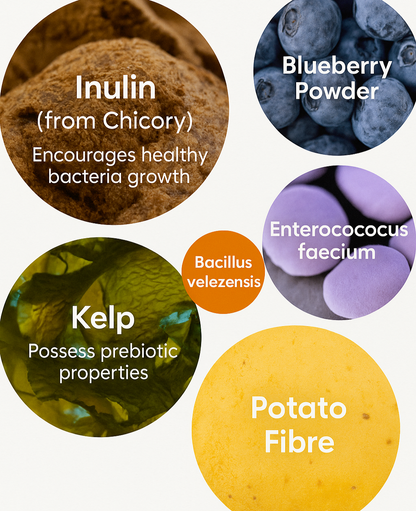 Petsy™ Probiotic Chews | For All Dogs