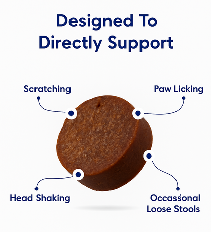 Petsy™ Probiotic Chews | For All Dogs